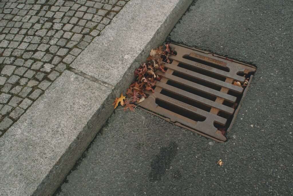 drain with leaves