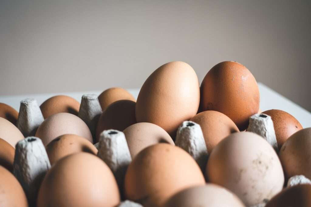 rotten eggs