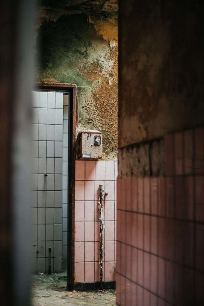mold bathroom