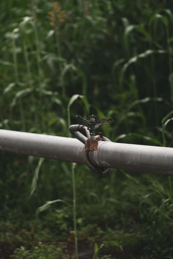 pipe