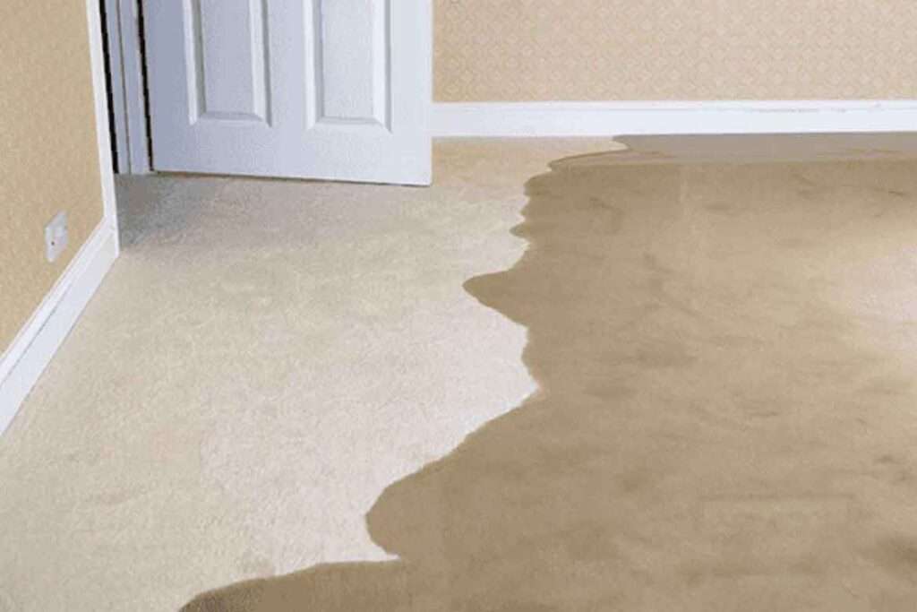 Slab Leak Services