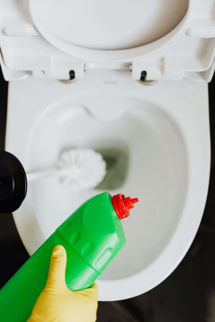 toilet